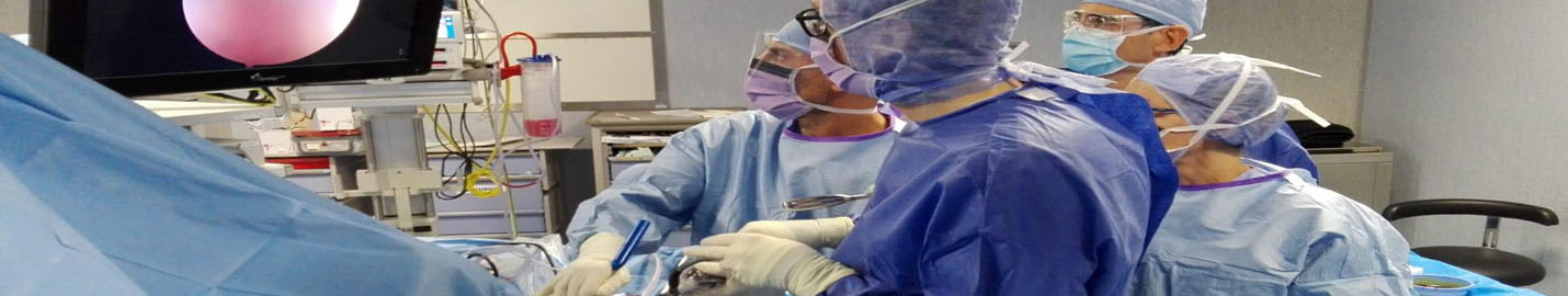 Neurochirurgo Dottor Claudio Schonauer microchirurgia